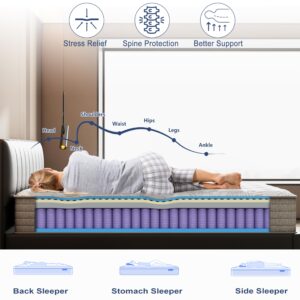 Twin Size Mattress 12 inch Colchones Twin Memory Foam Mattress Twin Mattress in a Box Hybrid Mattress Medium Firm/Fireproof Grade III Anti Pilling/Extra Lumbar Support/Pressure Relief/Certi PUR-US