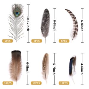 Holmgren 48pcs Natural Feathers Bulk - 6 Styles 48pcs Assorted Natural Feathers, Peacock Feathers, Pheasant Feathers, Turkey Feathers for Craft DIY Jewelry Hat Wedding Home Party Decoration