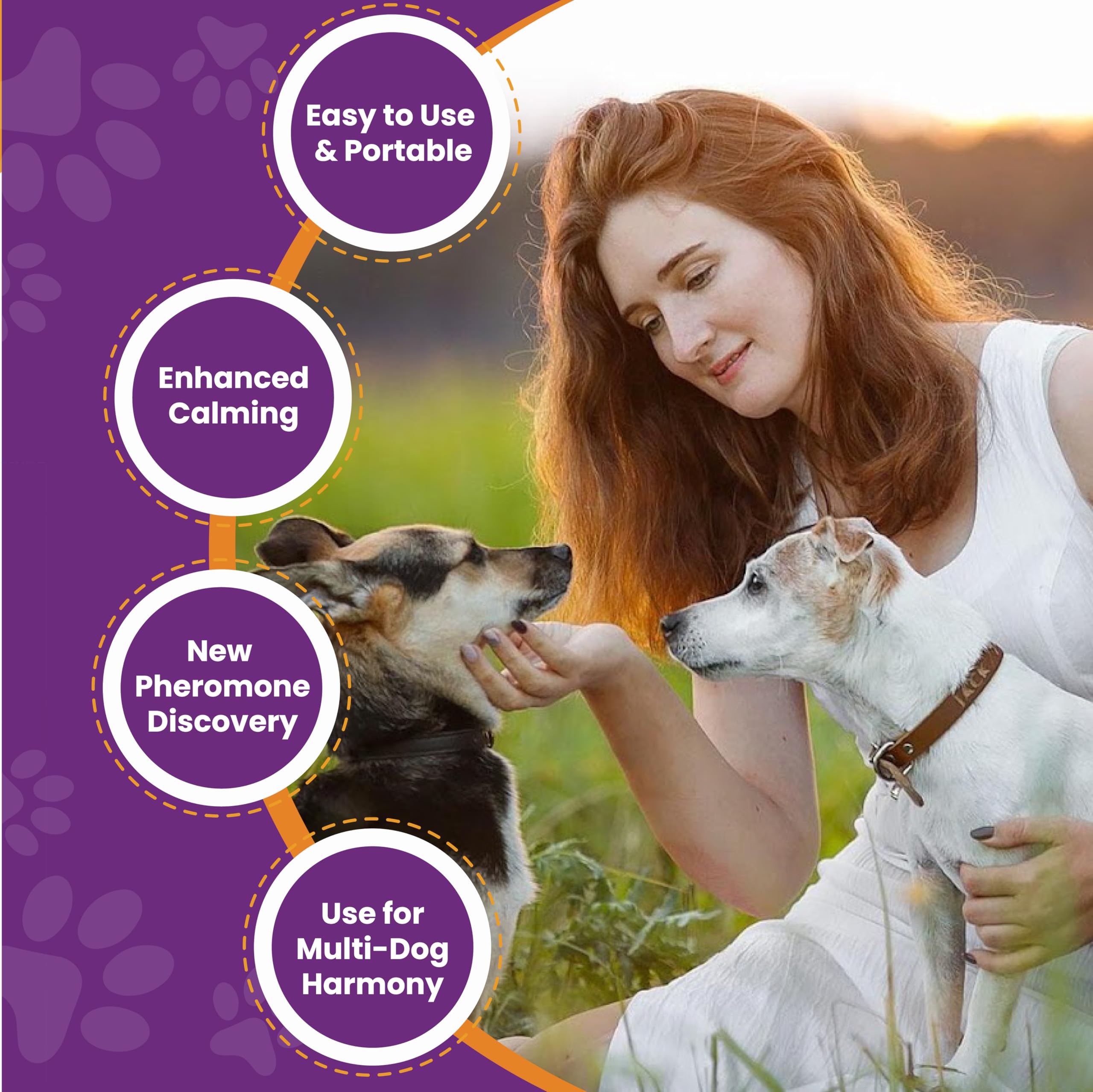 BKRMART Dog Pheromone Calming Diffuser 5 in 1 Appeasing Pet Pheromones Diffuser to Calm Kit 1 Diffuser & 4 Pheromone 48ml Refill for Anxiety Relief Reduce Barking Aggression Fighting Stress