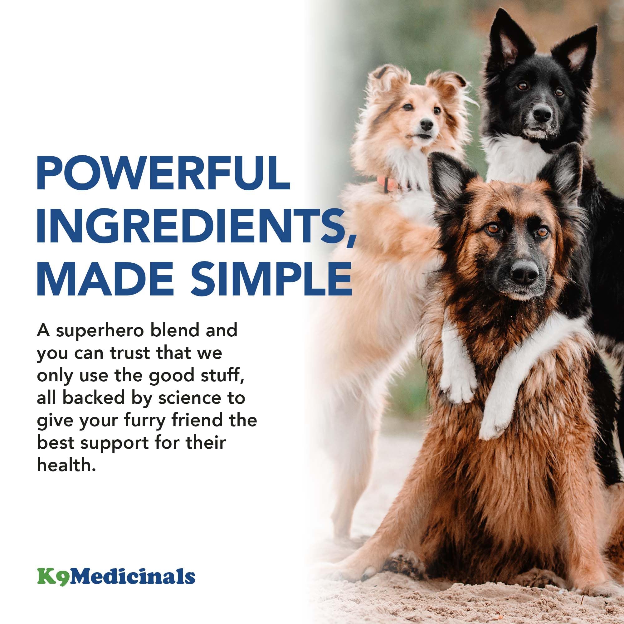 Total Pet Health - Dog Immune Support - Mushroom Powder For Dog Immunity - Supplement For Joints, Skin, Coat - Digestive Health - Cognitive Function - Small and Large Breeds - Beef Flavor, 30 servings