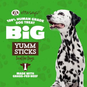 etta says! Big Yumm Sticks - Real Meat Beef Dog Treats - Human Grade - Made in The USA (24 Count Pack of 1)