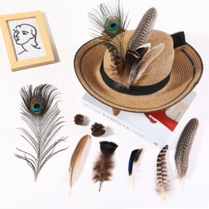 Holmgren 48pcs Natural Feathers Bulk - 6 Styles 48pcs Assorted Natural Feathers, Peacock Feathers, Pheasant Feathers, Turkey Feathers for Craft DIY Jewelry Hat Wedding Home Party Decoration