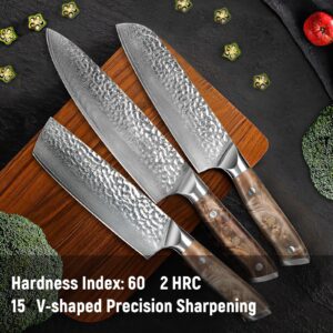 KEIZOKU Damascus Chef Knife, 10Cr15MOV Japanese Kitchen Knives Set with Full Tang G10 Handle, Professional Chef Knife for Kitchen, Sheath & Gift Box (8 Inch Chef Knife)