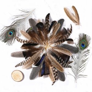 Holmgren 48pcs Natural Feathers Bulk - 6 Styles 48pcs Assorted Natural Feathers, Peacock Feathers, Pheasant Feathers, Turkey Feathers for Craft DIY Jewelry Hat Wedding Home Party Decoration