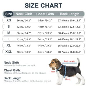 GreenJoy Get-Well-Soon Dog Surgery Recovery Suit - Soft Breathable Dog Onesie Post-Spay/Neuter, Anti-Licking Dog Bodysuit for Small, Medium, Large Dogs (Grey, M)