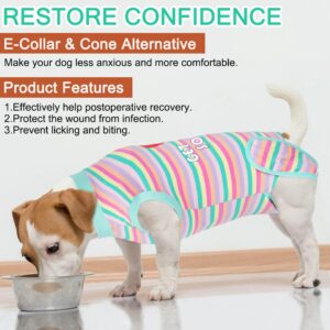 GreenJoy Get-Well-Soon Dog Surgery Recovery Suit - Soft Breathable Dog Onesie Post Spay,Neuter,E-Collar & Cone Alternative Dog Bodysuit for Small, Medium, Large Dogs (Green Stripes, XL)