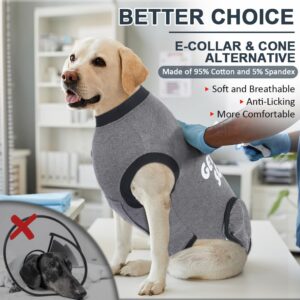 GreenJoy Get-Well-Soon Dog Surgery Recovery Suit - Soft Breathable Dog Onesie Post-Spay/Neuter, Anti-Licking Dog Bodysuit for Small, Medium, Large Dogs (Grey, M)