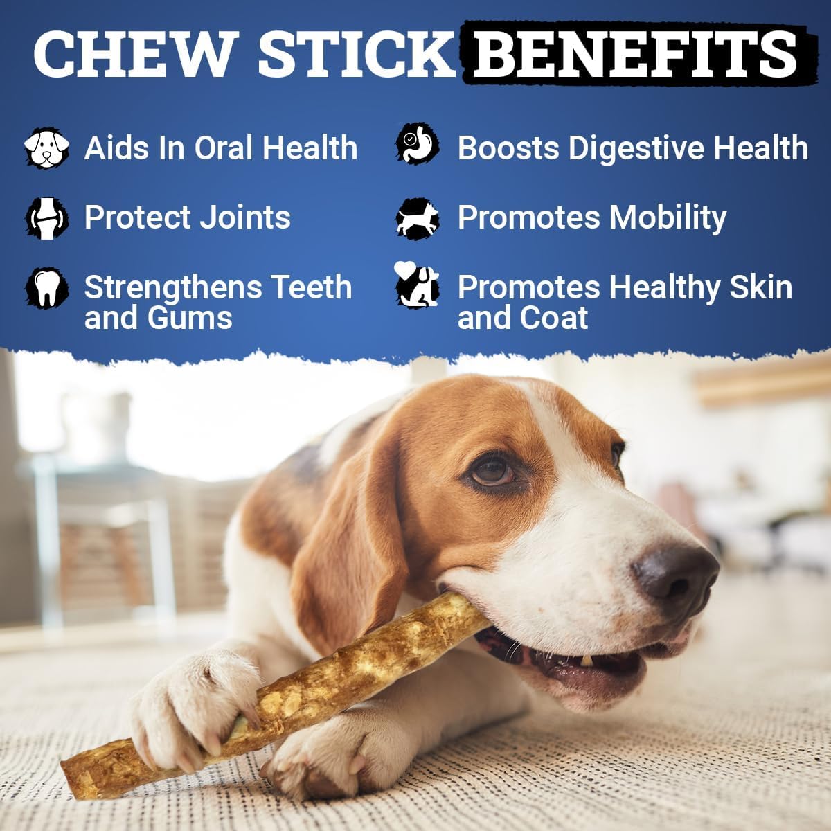 Chew Safe Premium Rolls Dog Chew Treats | Beef | 2-Pack | Two 10" Rolls Per Pack | Rawhide Alternative | Long Lasting, High Protein, Highly Digestible for Small Dogs, for Healthy Teeth