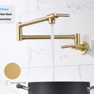 Havin Kitchen Faucet and Pot Filler Faucet