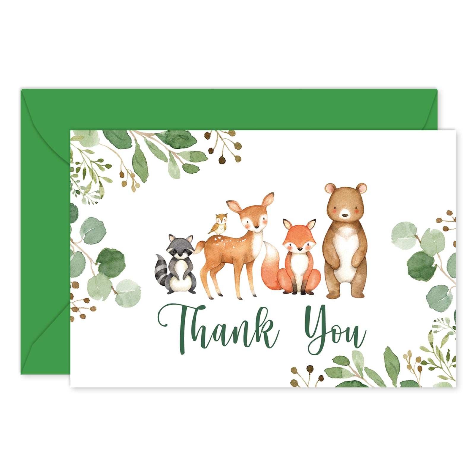 Whaline 50 Pack Woodland Thank You Cards with Envelopes Stickers Forest Animal Greeting Cards Blank Note Cards for Baby Shower Birthday Wedding, 4 x 6 Inch