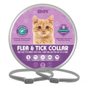 bkrmart flea and tick collar for cats, 8 months protection natural cat flea collar and tick treatment, one size fits all cats flea & tick prevention collar 2 pack