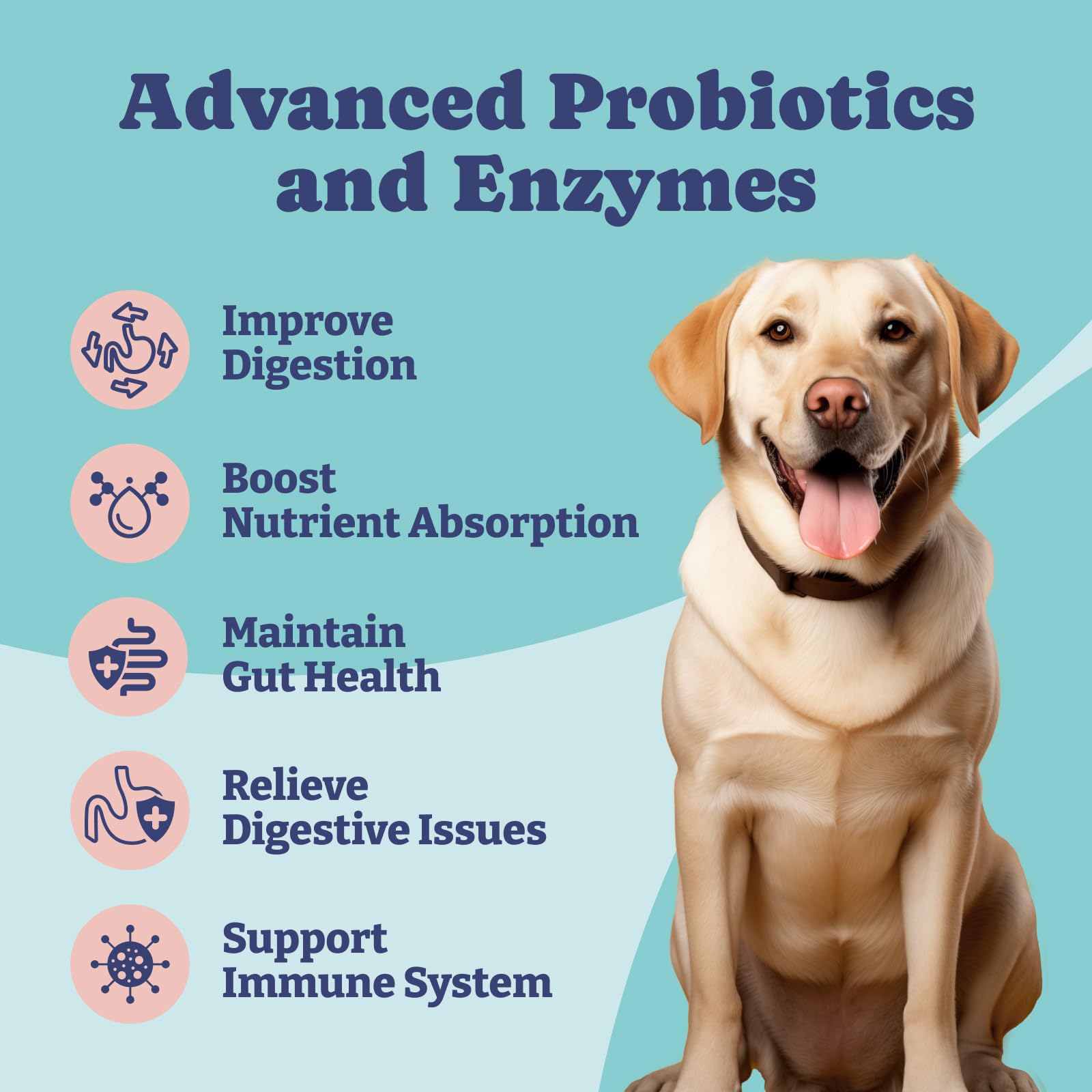 Advanced Probiotics for Dogs 60 Soft Chew + Superblend Powder 9 in 1 for Dogs