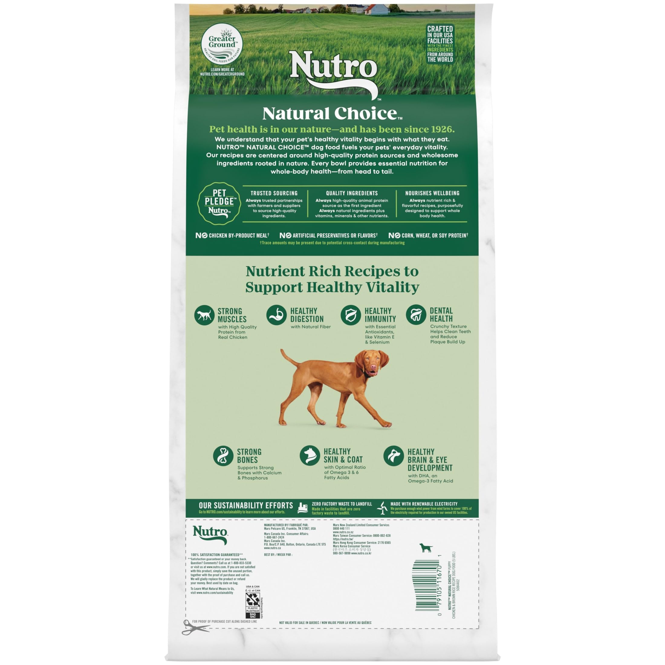 Natural Choice Puppy Dry Dog Food, Chicken and Brown Rice Recipe, Omega-3 Fatty Acids 100% Complete and Balanced Nutrition, 5 Lbs.