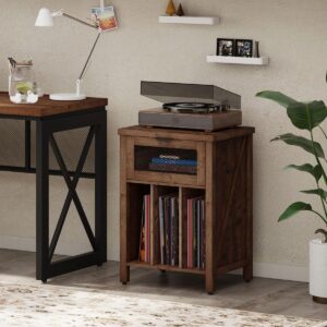 BON AUGURE 4 Tier Bookshelf and Record Stand