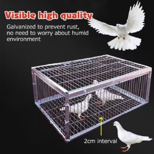 NEONMAN Pigeon Trap with Escape-Proof Design Pigeon Cage with One-Way Entry Encrypted Pigeon Automatic Pigeon Collection Chicken Cage and Bird Trap with Metal Welding Portable Easy Assembly(Black,28x1