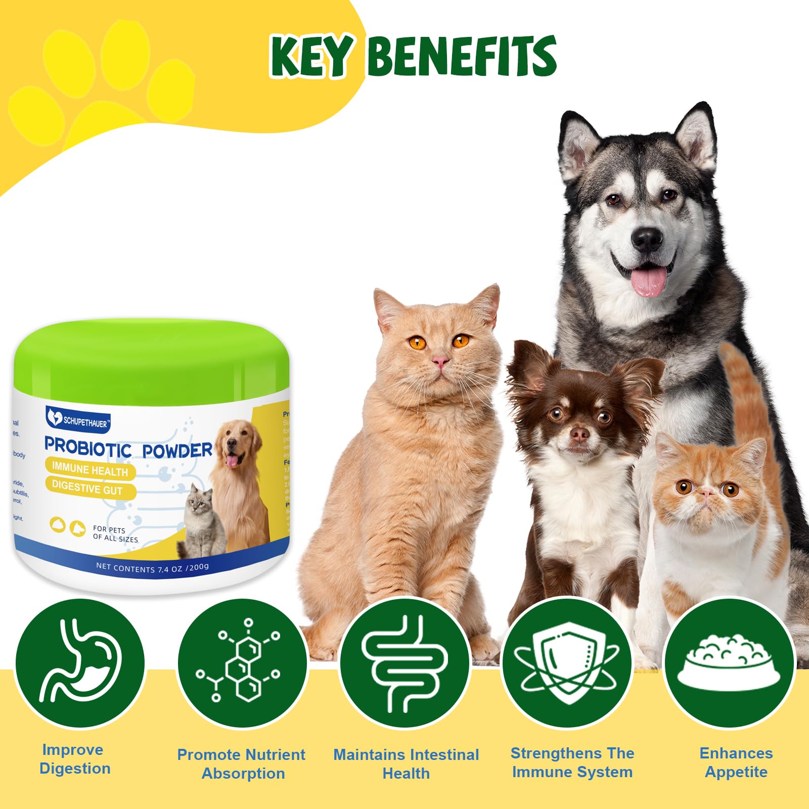 Pet Probiotics Active Peptide Powder Supplement for Dogs & Cats of All Ages with Immunoglobulin,Saccharomyces Boulardii & Bacillus Subtilis – Supports Immune & Digestive Health (200g/7.4 oz)