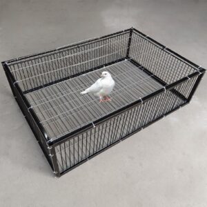 neonman pigeon trap with escape-proof design pigeon cage with one-way entry encrypted pigeon automatic pigeon collection chicken cage and bird trap with metal welding portable easy assembly(black,28x1