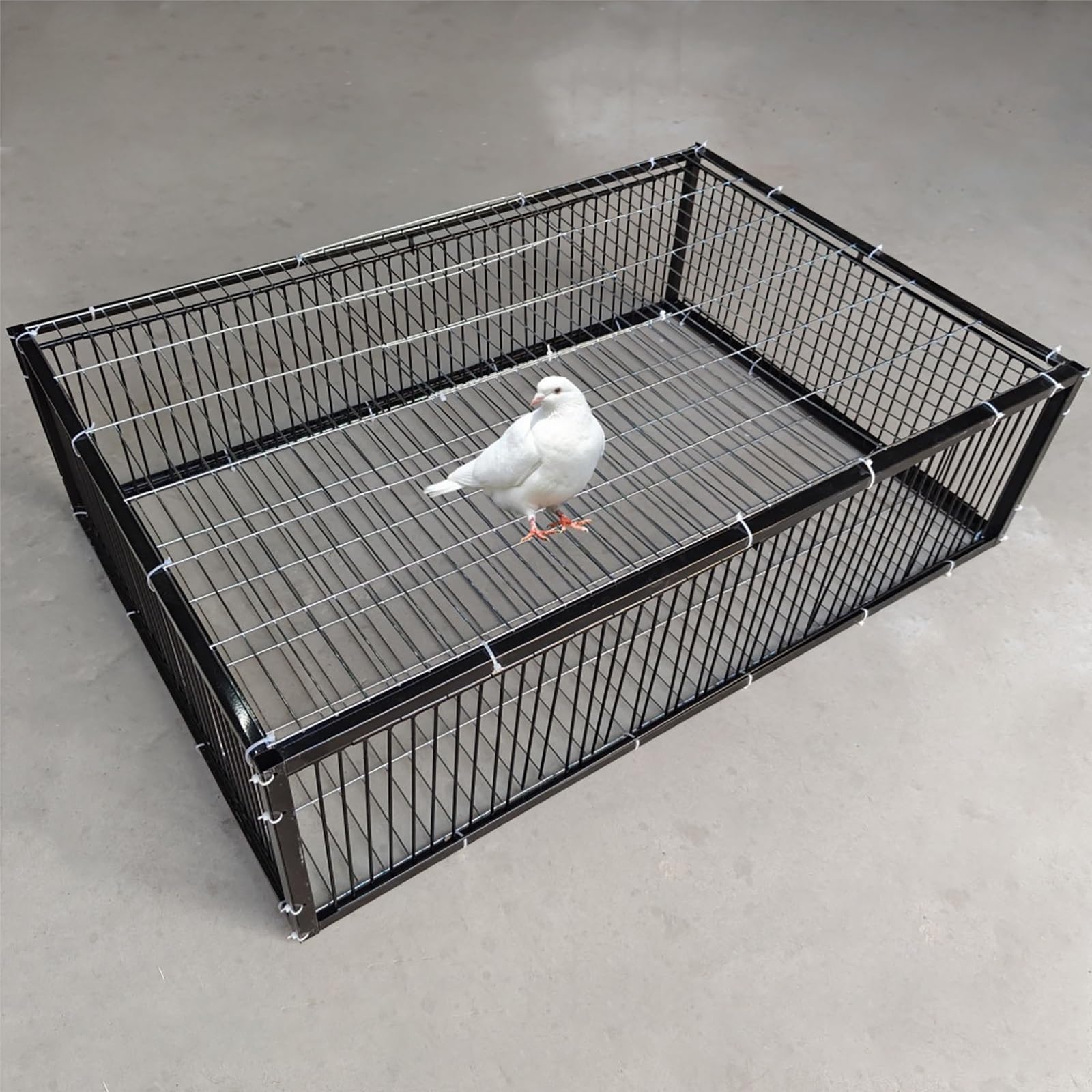 NEONMAN Pigeon Trap with Escape-Proof Design Pigeon Cage with One-Way Entry Encrypted Pigeon Automatic Pigeon Collection Chicken Cage and Bird Trap with Metal Welding Portable Easy Assembly(Black,28x1