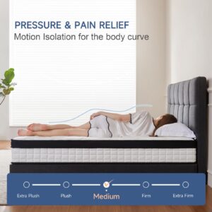 netply Full Size Mattress, 10 Inch Full Mattress in a Box, Hybrid Memory Foam & Individually Pocket Spring to Improve Sleep and Pain Relief, Medium Firm Mattress, CertiPUR-US Certified.