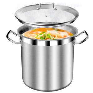 stockpot stainless steel pot, 20 quart stock pot with visible lid, 3-ply large soup pot, induction pots, big pots for cooking, stew pot, oven & dishwasher safe