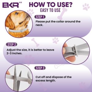 BKRMART Flea and Tick Collar for Dogs, 8 Months Protection Natural Dog Flea Collar and Tick Treatment, One Size Fits All Dogs Flea & Tick Prevention Collar 2 Pack