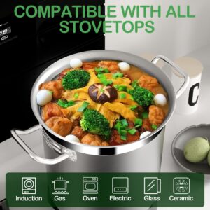 STOCKPOT Stainless Steel Pot, 20 Quart Stock Pot with Visible Lid, 3-Ply Large Soup Pot, Induction Pots, Big Pots for Cooking, Stew Pot, Oven & Dishwasher Safe