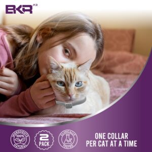 BKRMART Flea and Tick Collar for Cats, 8 Months Protection Natural Cat Flea Collar and Tick Treatment, One Size Fits All Cats Flea & Tick Prevention Collar 2 Pack