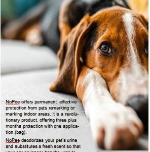 NOPEE Dog Marking Prevention - Indoor - Permanent - Effective Solution - Stops Dogs from Marking or Peeing -eliminates a Dog's urge to Mark - Put Bag Down and Your Problem is Solved! (Brown(Paws))