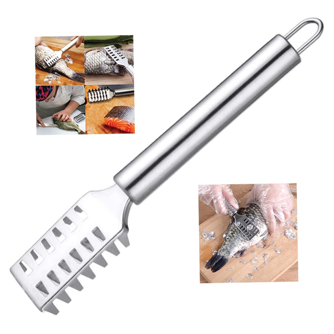 Tuimiyisou Fish Scale Planer Fish Scaler Fish Scale Planer Remover Scraper Sawtooth Extractor Stainless Steel with Firm Grip Kitchen Tool