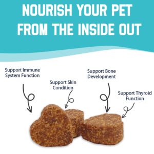 Pet Nutritional Supplement Trace Minerals Soft Chews for Dogs& Cats of All Ages, Cobalt, Manganese, Potassium, Iron, Zinc, for Immune System, Metabolism, Skin and Coat, 9.17oz/260g (170 Chews)