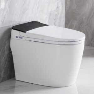 smart toilet with heated bidet seat, intelligent tankless toilet with bidet built-in, feet sensor, auto open/close seat, off seating auto flush, night light, warm water & dryer, white