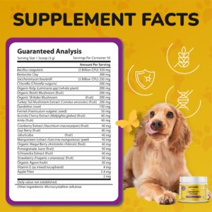 PetMade Turkey Tail Mushroom Antioxidant Dog Supplements & Vitamins Powder - Longevity Formula with Prebiotics and Probiotics for All Dogs, Gut Health, 5.3 oz