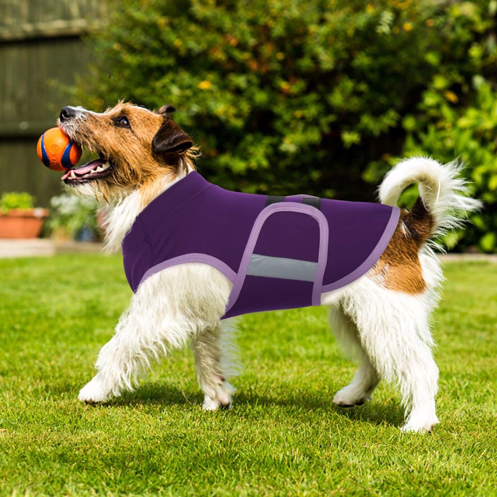 MIGOHI Dog Anxiety Relief Coat,Comfort Anxiety Vest for Dogs,Adjustable Dog Anxiety Calming Wrap for Fireworks,Thunderstorm,Travel, Separation, Dog Anxiety Jacket for Dogs for Large Dogs L Purple