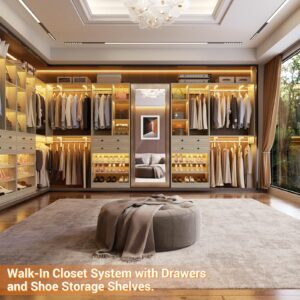 Besiost Closet System - 5FT Small Closet System with Drawers, 60" Closet Organizer System with Reversible Hanging Shelving, Closet Systems for Small/Walk-in Closets, Greige Oak