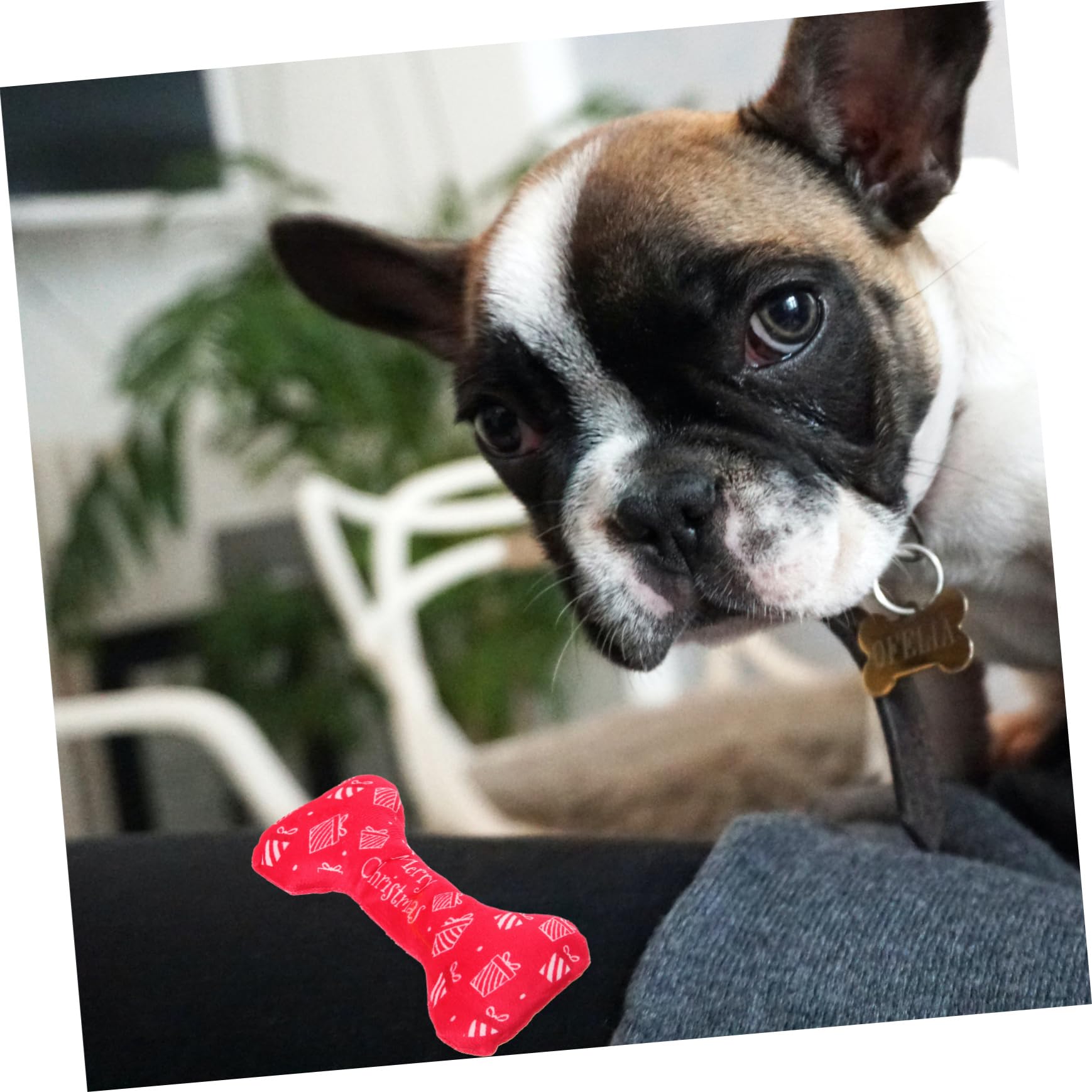 BESPORTBLE Christmas Dog Toy Christmas Dog Squeaky Toys Stuffed Colllar Shaped Dog Toys Squeaky Pet Toy Bite Toy for Pet Dog Dental Chew Toys Interactive Dogs Toy Bone Chewing Toy Red Plush