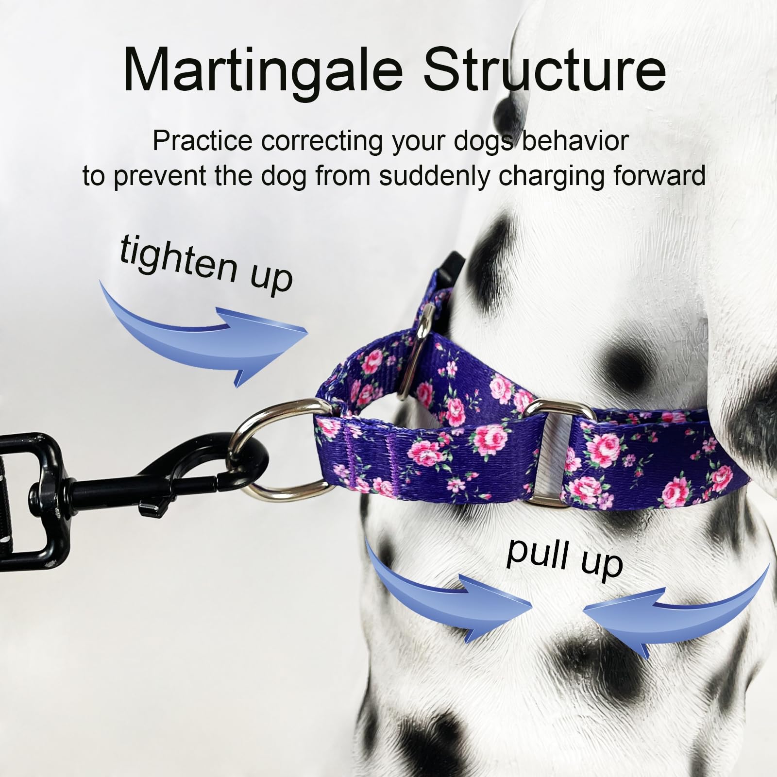 Fidohug Martingale Collar for Dogs with Buckle Floral Dog Collar Girl Female Soft Nylon Dog Collars for Small Medium Large Dogs (Purple Flower, S)