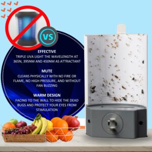 SHIELDFLY | Fly Trap Indoor, Gnat Killer Indoor, Fly Traps Indoor for Home, Highly Effective UV Light, Flying Insect Trap, Flies, Fruit Flies, Gnats & Other Flying Insects (1 Device + 4 Cartridges)