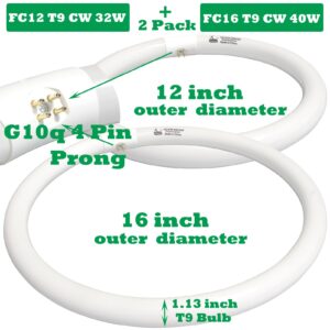 FC12T9/CW 32W and FC16T9/CW 40W Cool White Set, Round Fluorescent Light Bulb 12 inch T9 32 Watts & 16 inch 40 Watts Circular Bulb, Circline Kitchen and Bath Light Bulbs, 4100K, G10q 4 pin Prong