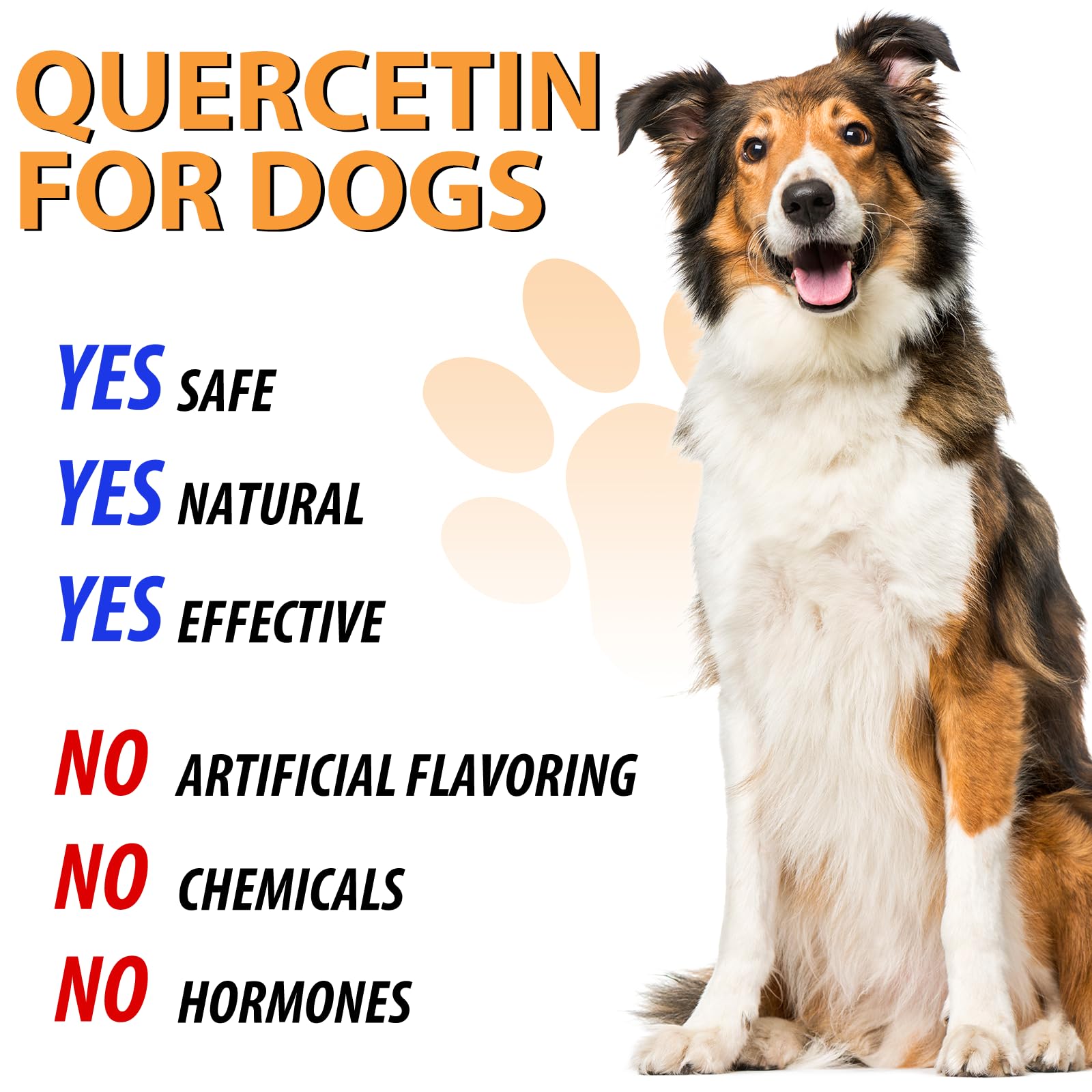 Quercetin for Dogs, Dog Quercetin Liquid Drops Supports Dogs Allergy Relief, Dog Herbal Supplement - Pet SuppliesQuercetin for Dog Itch Remedies - 60 ml / 2 fl.oz