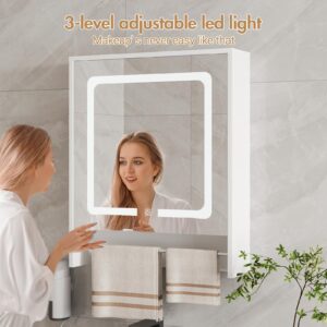 Lighted Medicine Cabinet with Mirror, Single Door Bathroom Mirror with Storage & Adjustable Shelves, Mirror Medicine Cabinet Wall Mounted with LED Lights, USBs, Towel Bar (22.8*6.1, Shelves)