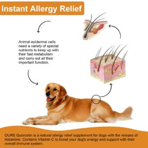 Quercetin for Dogs, Dog Quercetin Liquid Drops Supports Dogs Allergy Relief, Dog Herbal Supplement - Pet SuppliesQuercetin for Dog Itch Remedies - 60 ml / 2 fl.oz