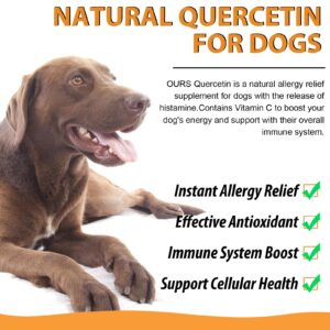 Quercetin for Dogs, Dog Quercetin Liquid Drops Supports Dogs Allergy Relief, Dog Herbal Supplement - Pet SuppliesQuercetin for Dog Itch Remedies - 60 ml / 2 fl.oz