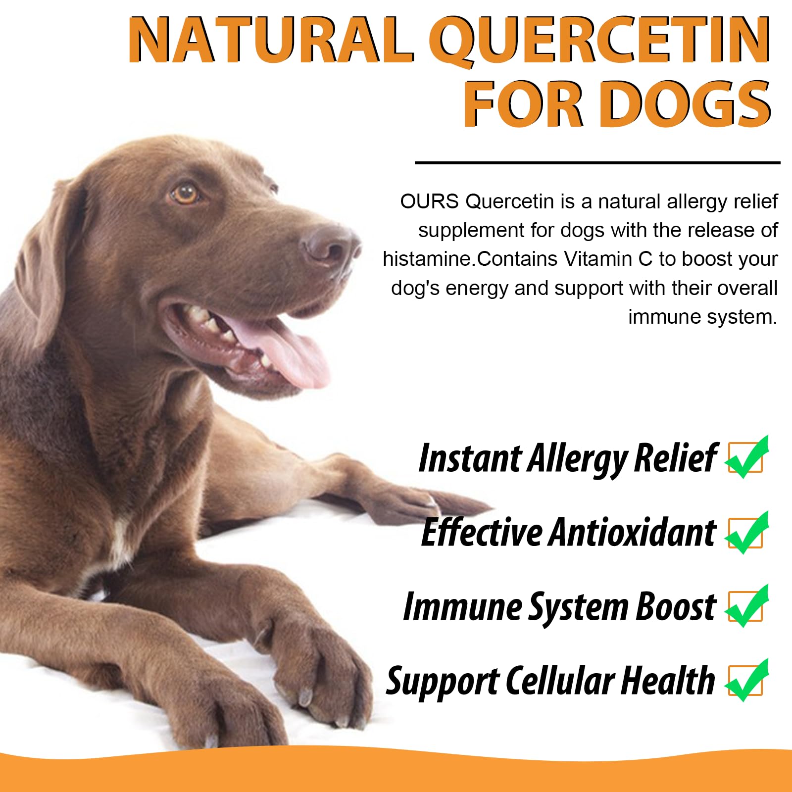 Quercetin for Dogs, Dog Quercetin Liquid Drops Supports Dogs Allergy Relief, Dog Herbal Supplement - Pet SuppliesQuercetin for Dog Itch Remedies - 60 ml / 2 fl.oz