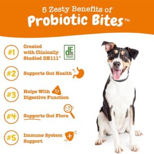 Probiotics for Dogs - Digestive Enzymes for Gut Flora, Digestive Health, Diarrhea & Bowel Support - Clinically Studied DE111 - Dog Supplement Soft Chew for Pet Immune System - Pumpkin