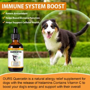 Quercetin for Dogs, Dog Quercetin Liquid Drops Supports Dogs Allergy Relief, Dog Herbal Supplement - Pet SuppliesQuercetin for Dog Itch Remedies - 60 ml / 2 fl.oz