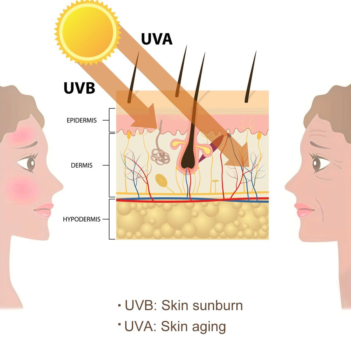 3-Pack UV Test Cards - Premium PVC UV-C Detection Cards with UVB/UVC Testing Stickers for Ultraviolet Radiation Monitoring