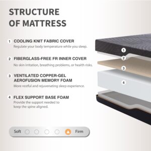 Dyonery Queen Adjustable Bed Frame with Mattress, 14 inch Frim Copper-Gel Memory Foam Mattress, Head & Foot Incline, 750lbs Lift Capacity, Powerful Quiet Motor, 5 Minutes Tools-Free Assembly