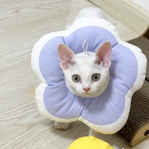 LuckyOpt Cute Cat Flower Cone, Anti Splashing Water Soft E Collar for Cats After Surgery, Cat Neck Pillow for Cozy Sleep and Anti-Licking, Cat Donut Cone for Cats/Puppies to Take Photos (Purple, S)