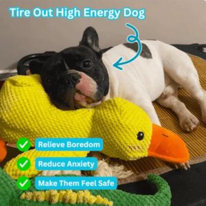 Outfany Calm Duck, Noovelo Calming Duck Toy, Quacker Calming Duck Toy, Quaker Calming Duck Toy, Cute Quacking Stuffed Duck Dog Toy, Yellow Stuffed Duck Dog Chew Toys (Yellow)