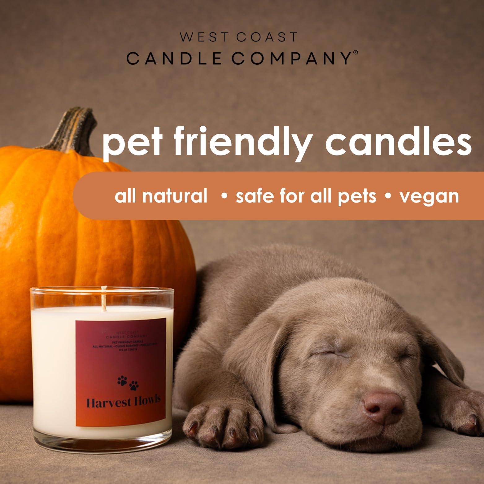 Pet Friendly Candle | Pet Safe Candle | All Natural Clean Burning Soy Candle | Pet Odor Eliminator | Dog & Cat Safe Candle | Air Freshening Scented Candles | 4 oz (Home for The Howlidays)